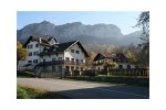 2010-12-les-memises-puce