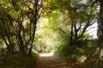 chemin-courmettes