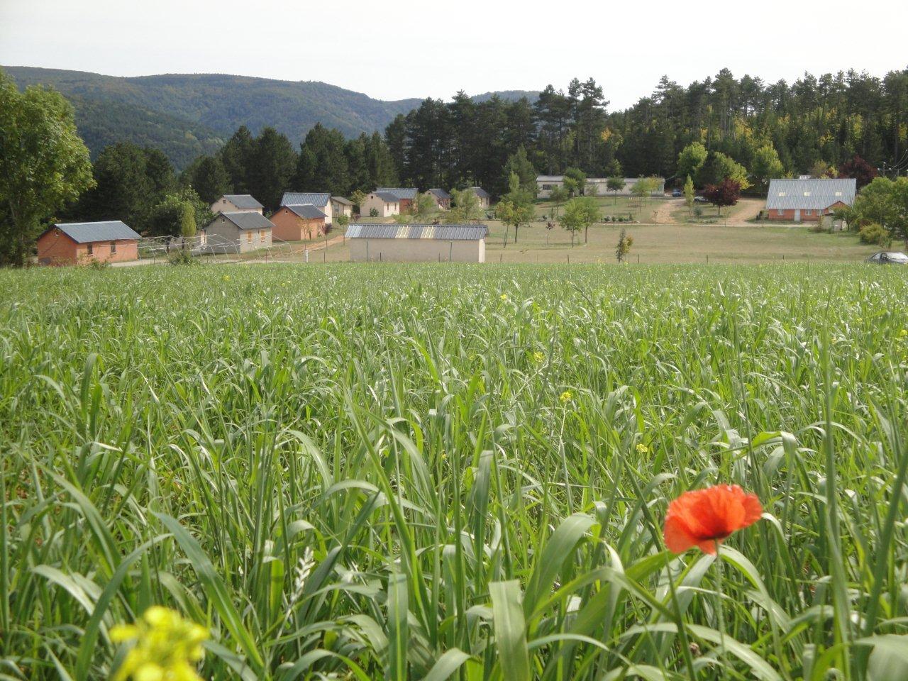 Centre chrétien de vacances L'Aigoual à Trèves