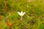 camp-nature-1