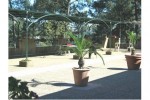mission-timothee-jardin